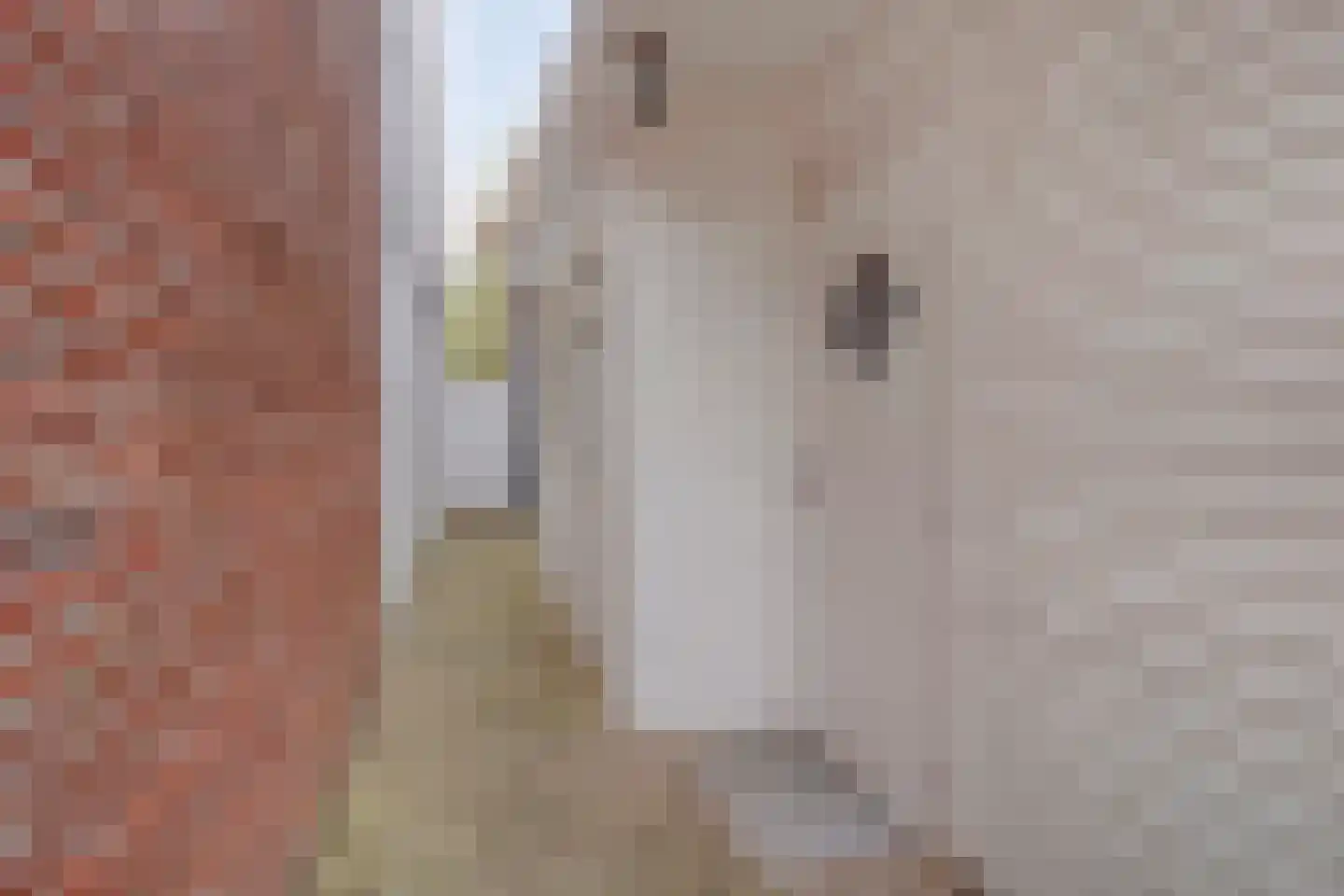 Nieuwstraat 91 Almelo thumbnail 34