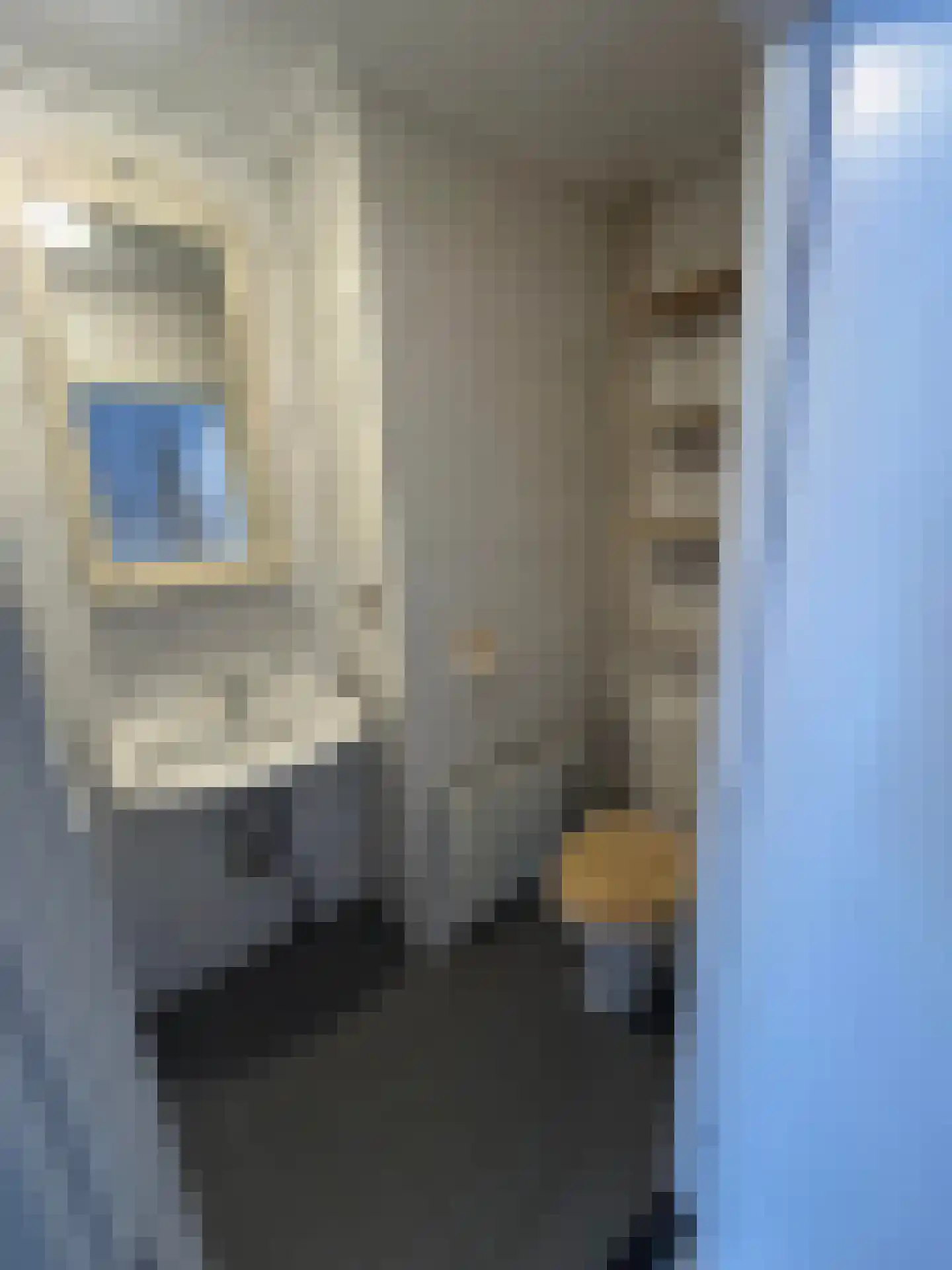 Nieuwstraat 94 Zwolle thumbnail 10