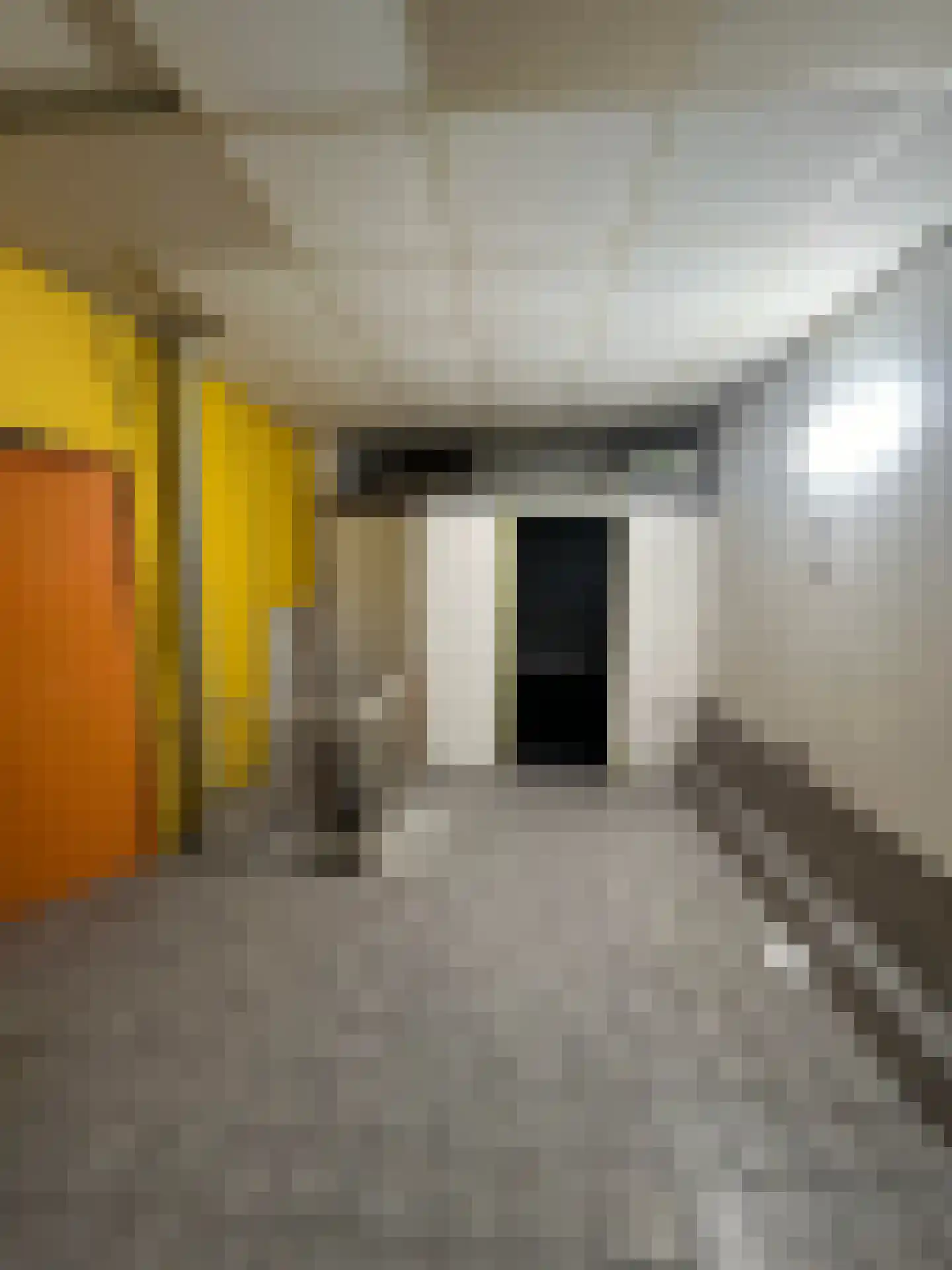 Nieuwstraat 94 Zwolle thumbnail 5