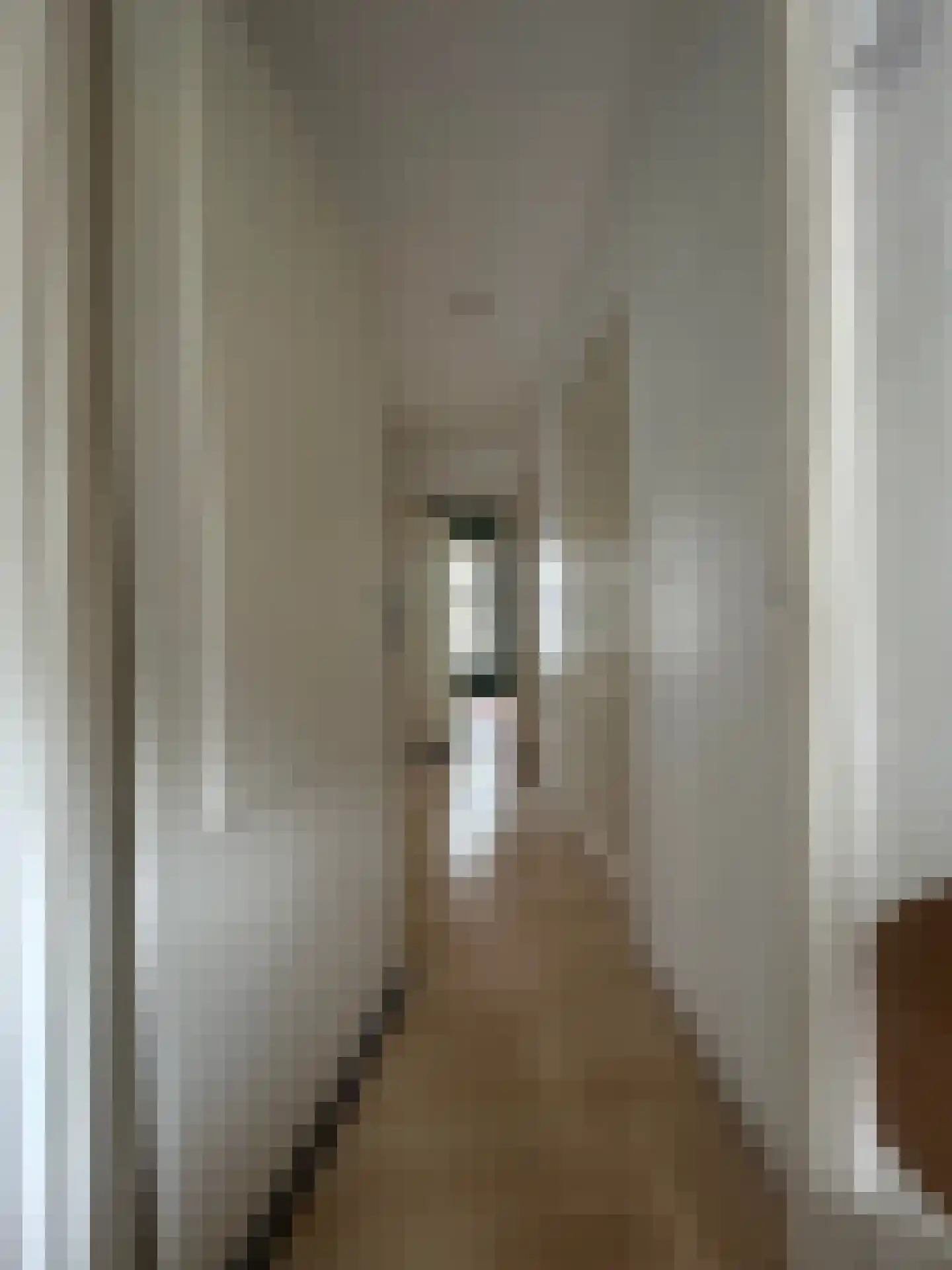 Nieuwstraat 94 Zwolle thumbnail 7