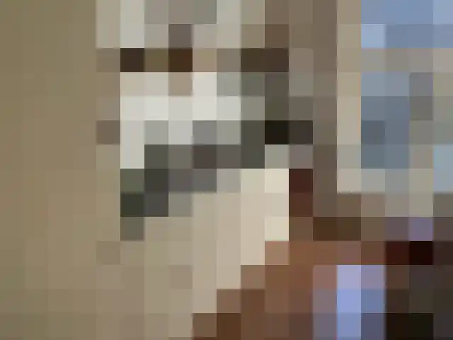 Nieuwstraat 94 Zwolle thumbnail 9