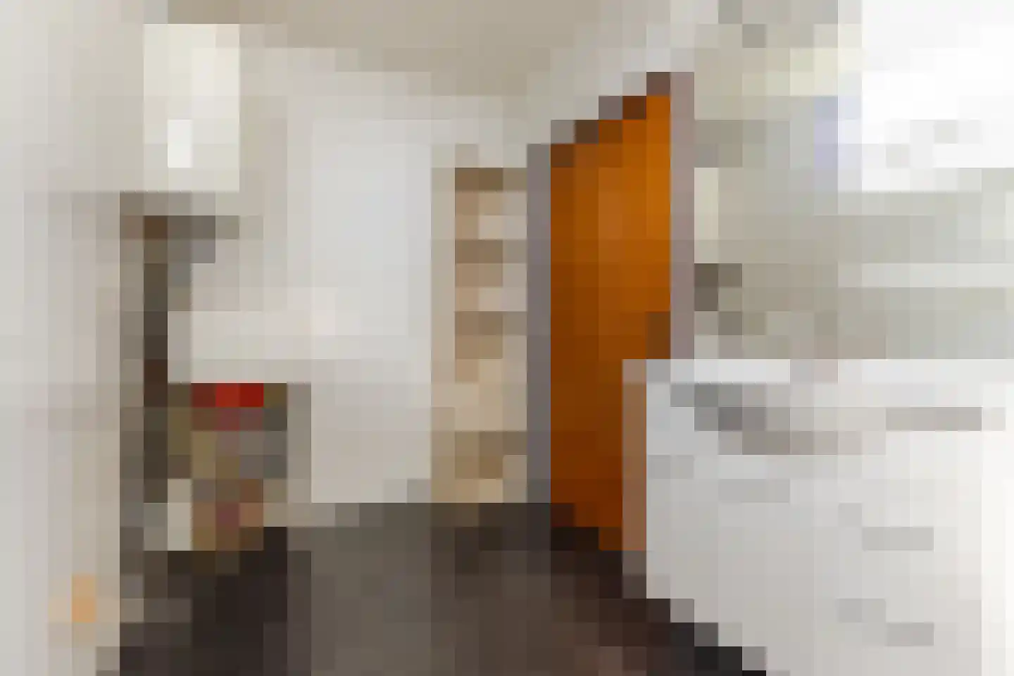 Nieuwstraat 95 Budel thumbnail 13