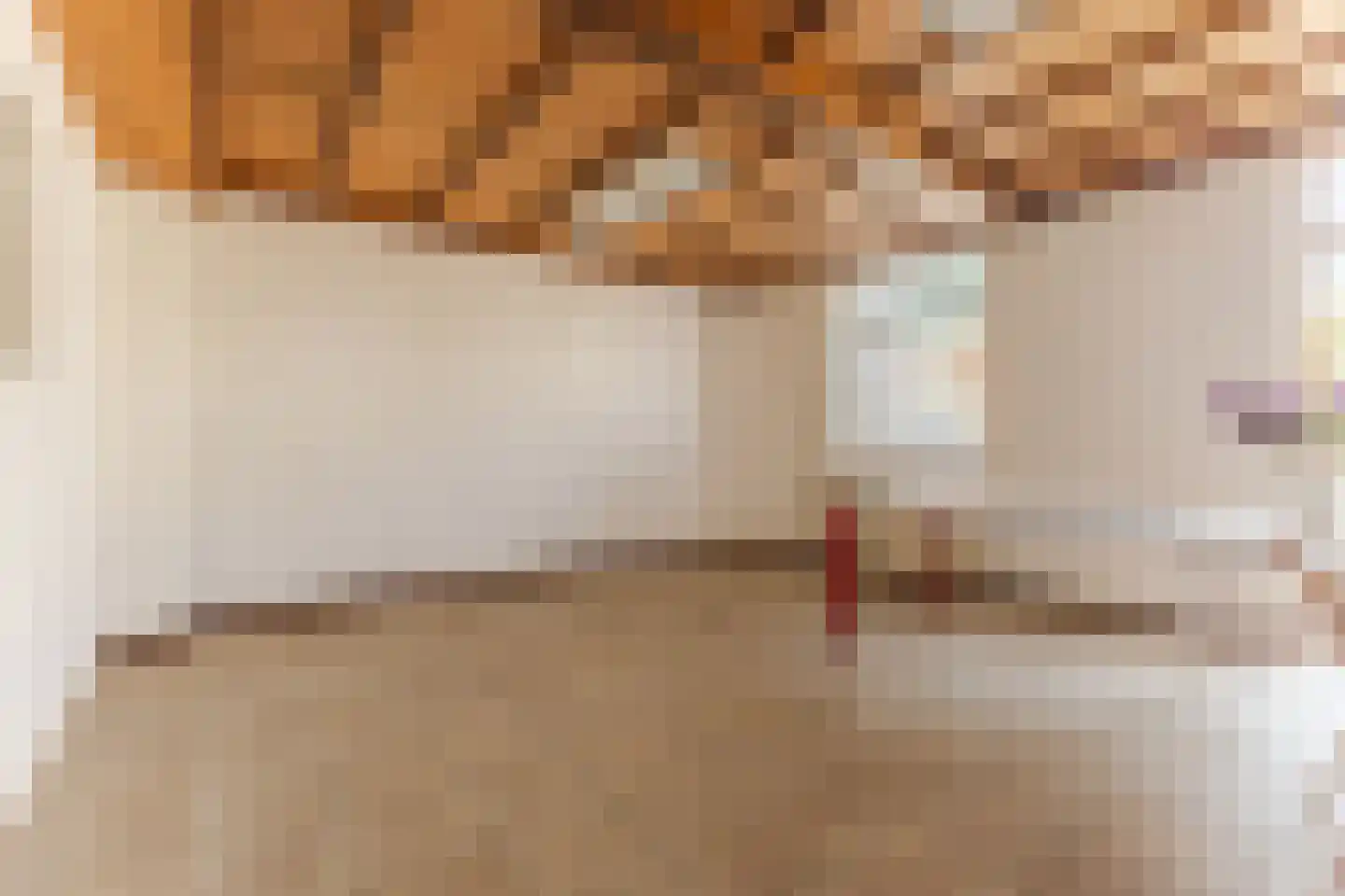 Nieuwstraat 95 Budel thumbnail 16