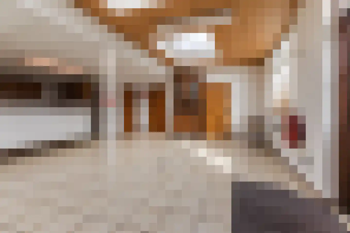 Nieuwstraat 95 Budel thumbnail 28