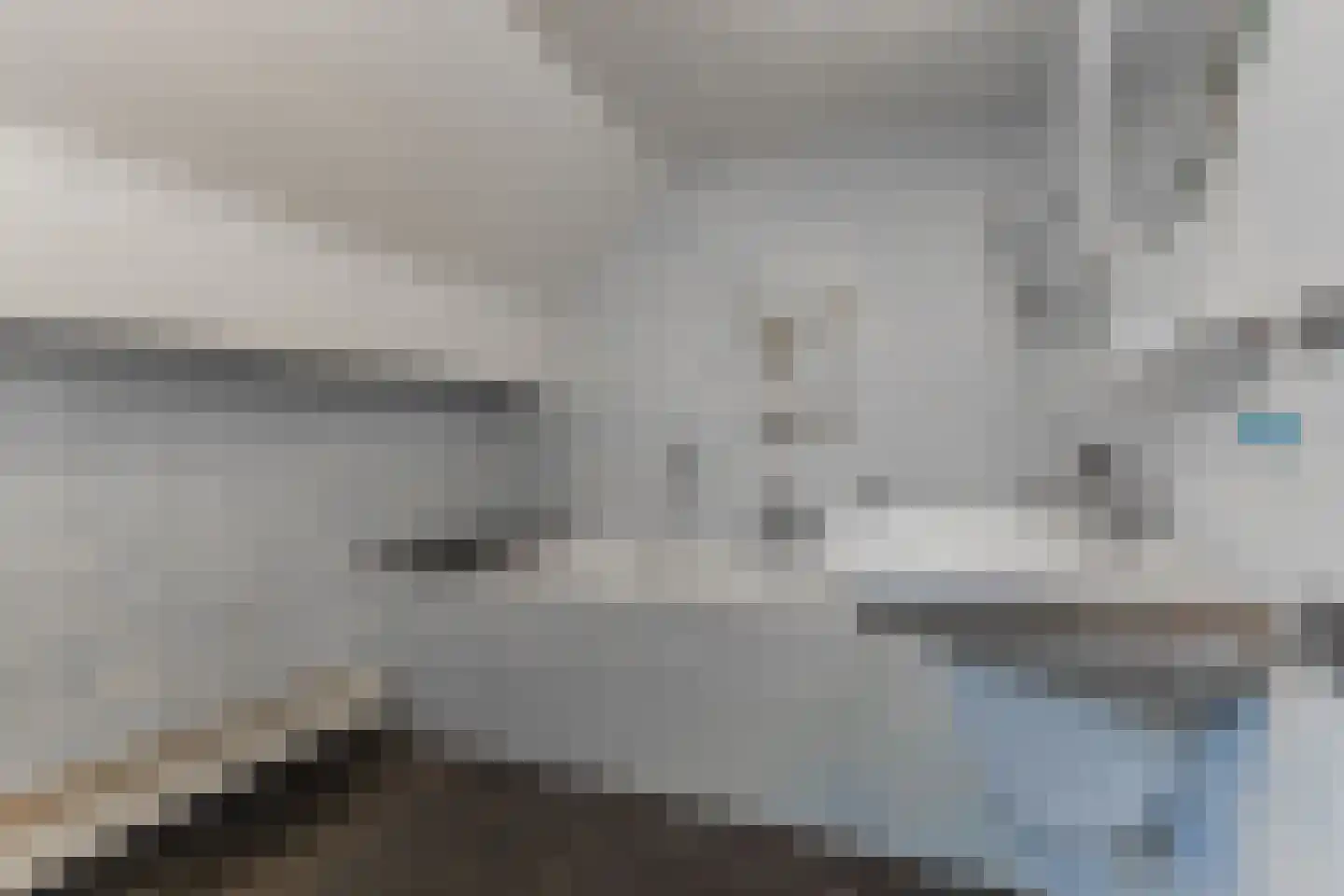 Nieuwstraat 95 Budel thumbnail 49