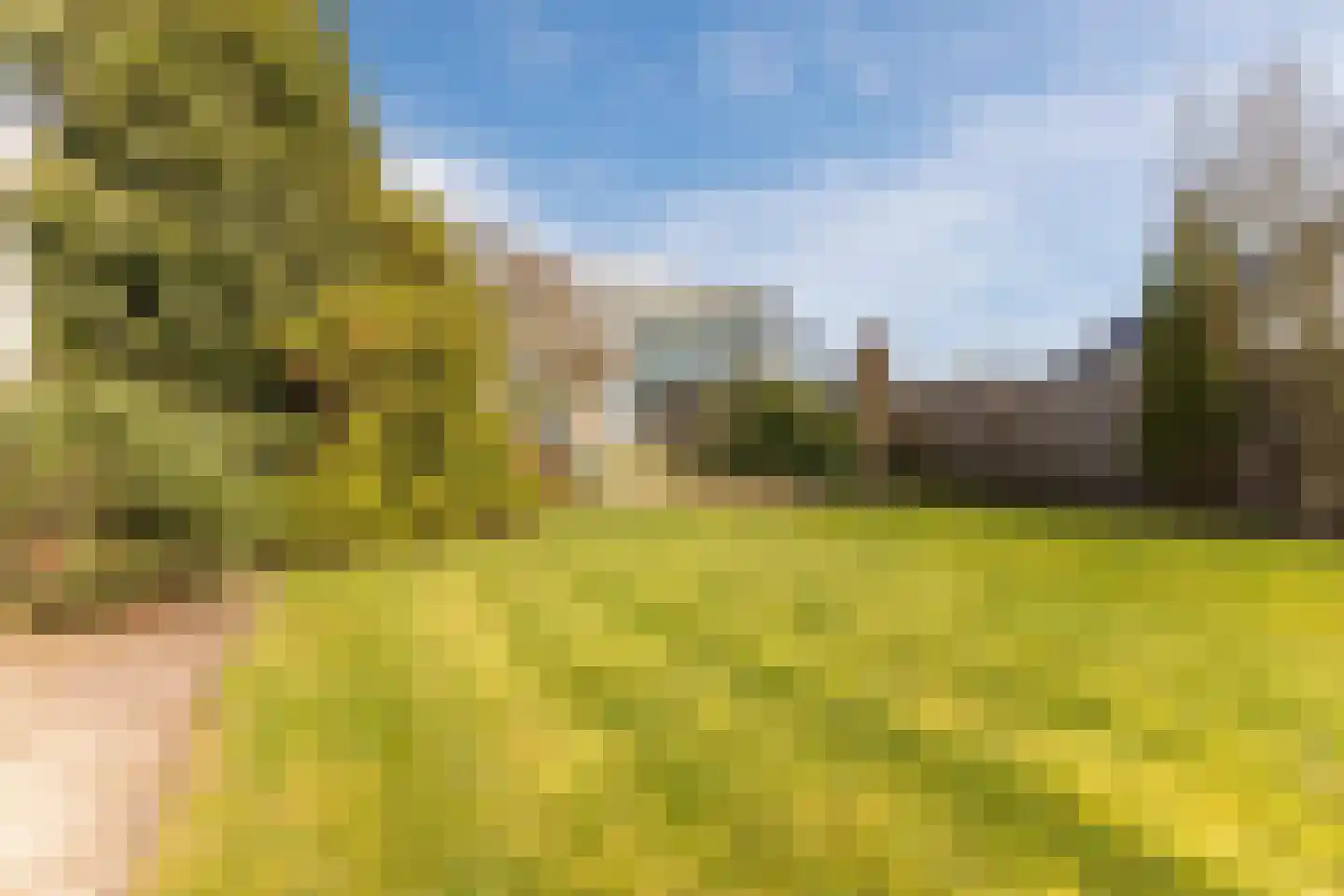Nieuwstraat 95 Budel thumbnail 56