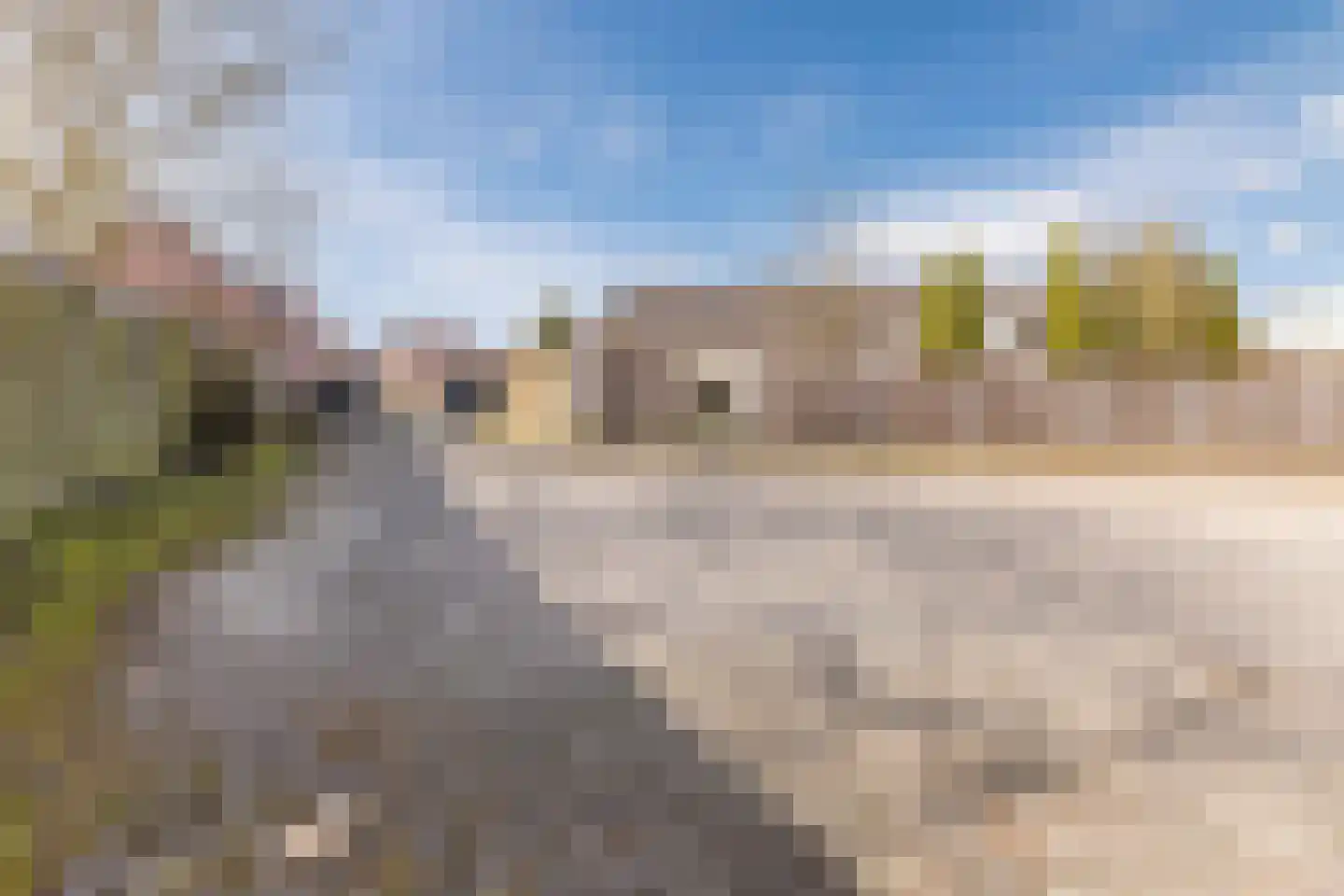 Nieuwstraat 95 Budel thumbnail 61