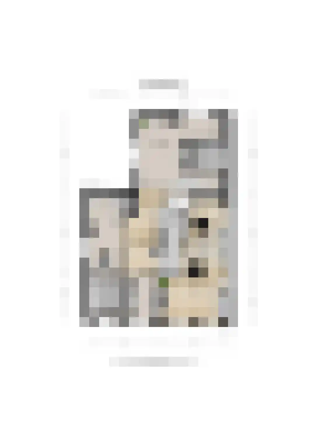 Nieuwstraat 96 De Bilt thumbnail 34