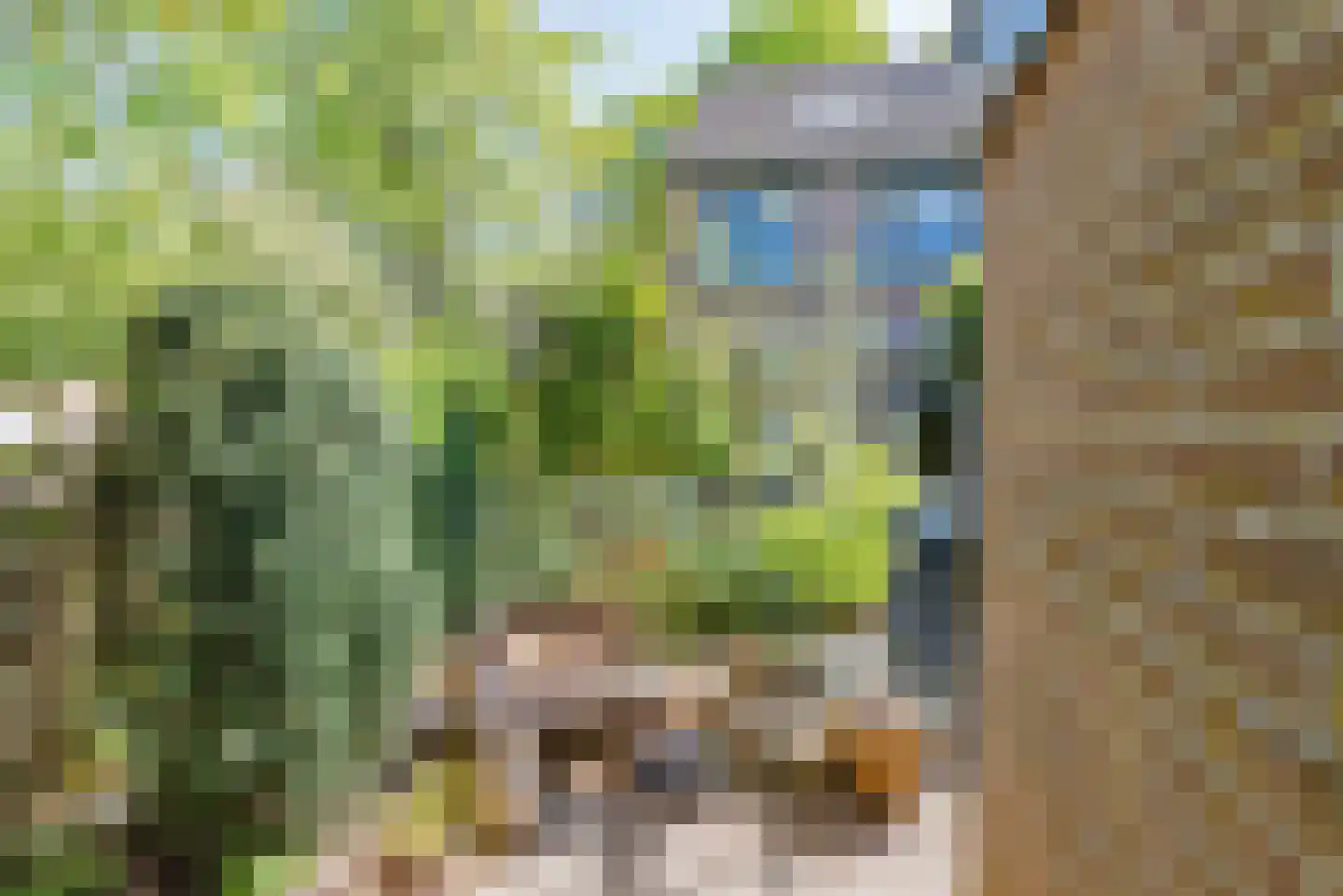 Nieuwstraat 99 C De Bilt thumbnail 20