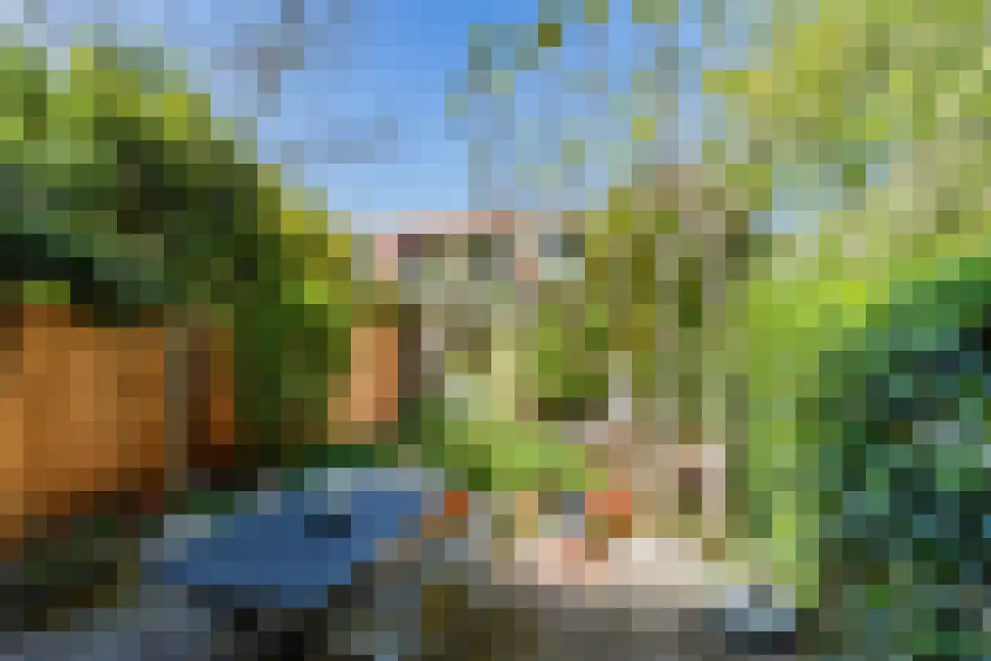 Nieuwstraat 99 C De Bilt thumbnail 22