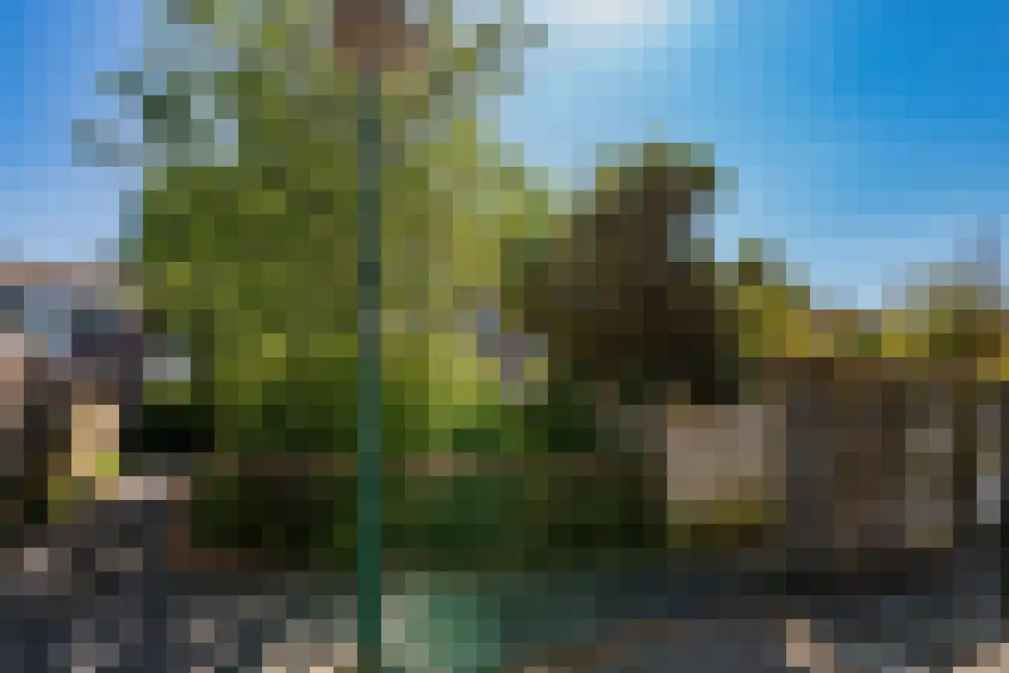 Nieuwstraat 99 C De Bilt thumbnail 23