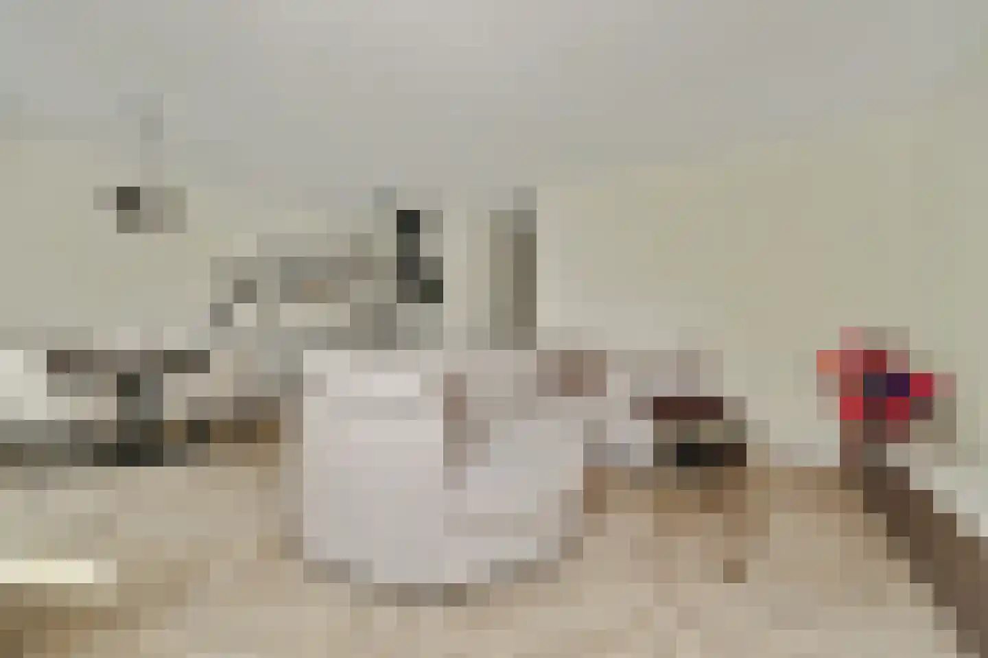 Nieuwstraat 99 Goes thumbnail 12
