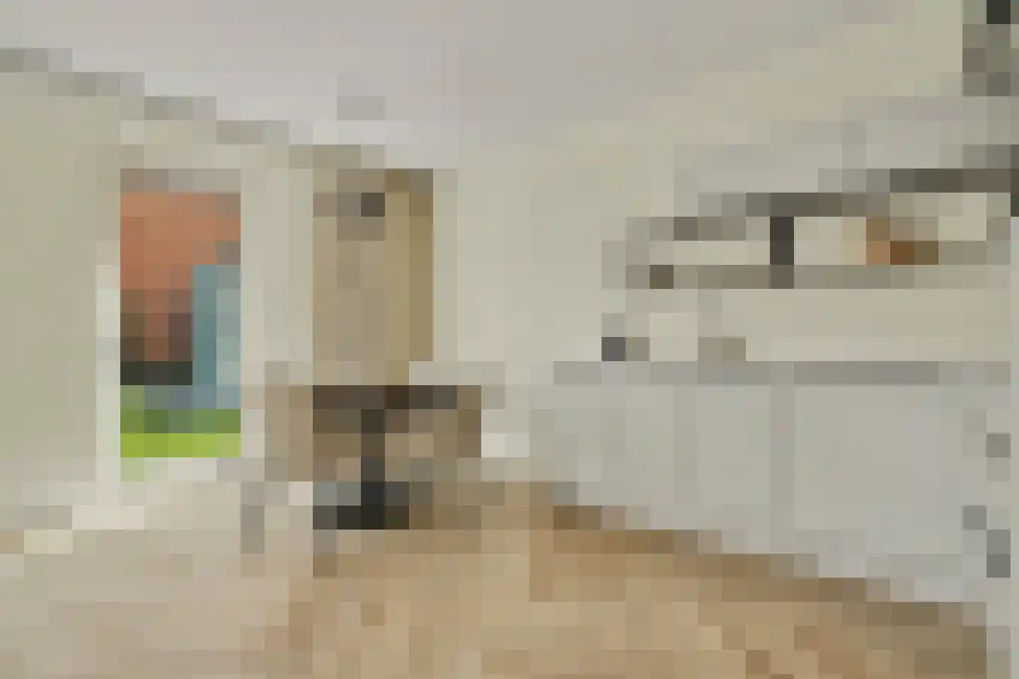 Nieuwstraat 99 Goes thumbnail 15
