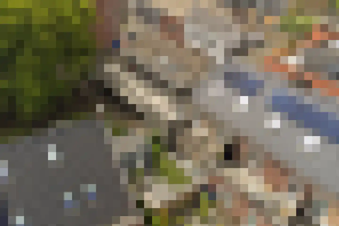 Nieuwstraat 99 Goes thumbnail 20