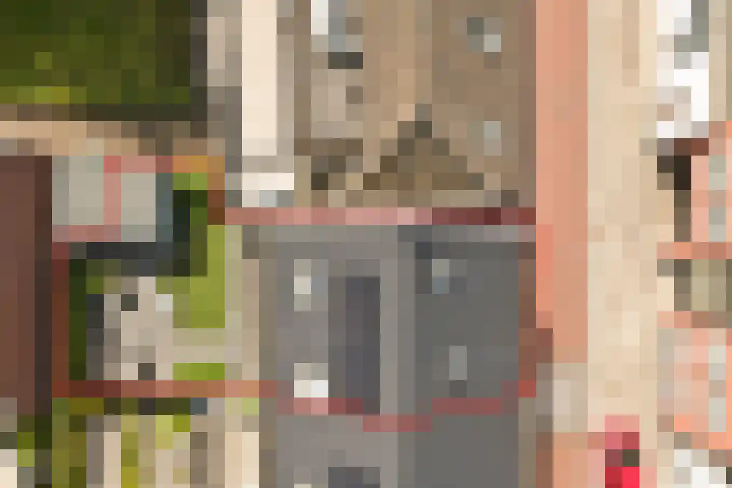 Nieuwstraat 99 Goes thumbnail 30