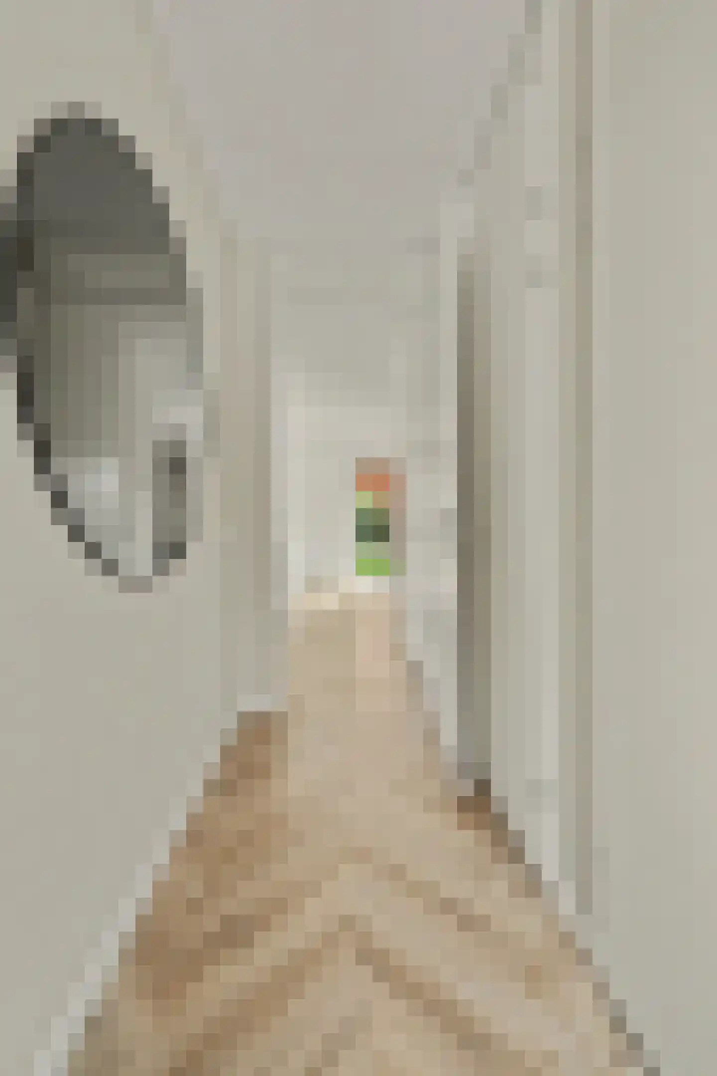 Nieuwstraat 99 Goes thumbnail 9
