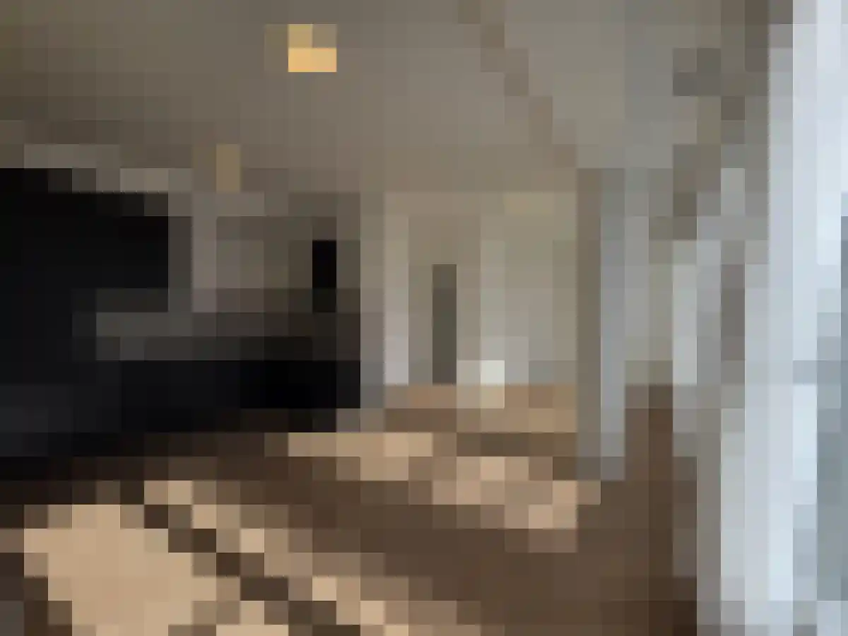 Nieuwstraat Hengelo thumbnail 4