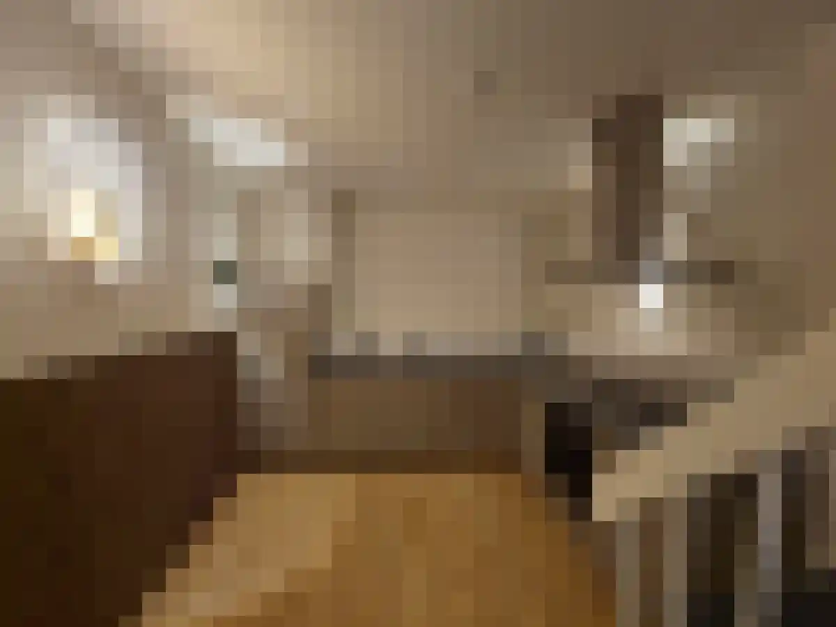 Nieuwstraat Zwolle thumbnail 5