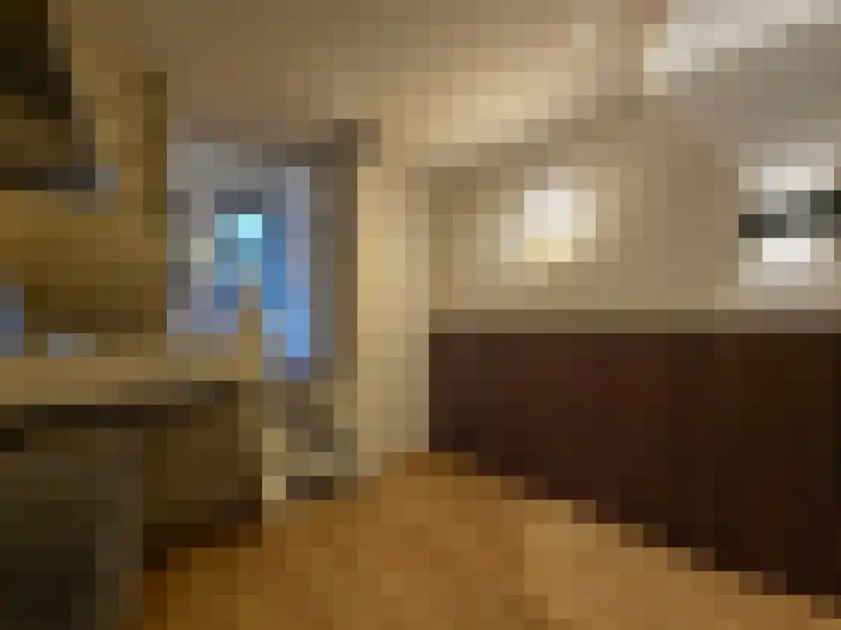 Nieuwstraat Zwolle thumbnail 6