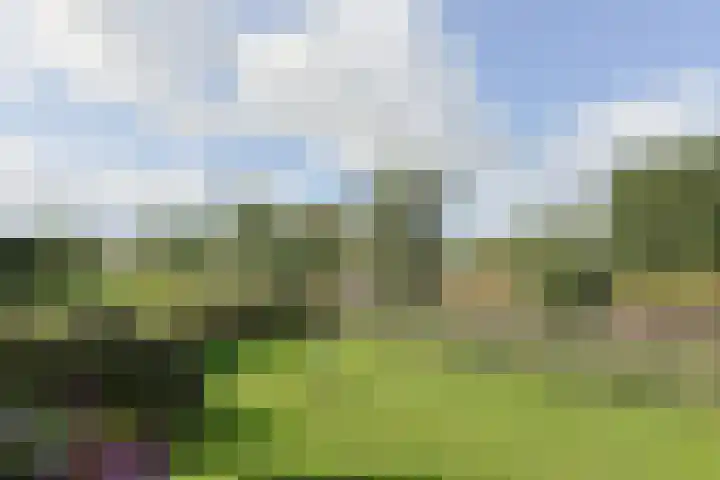 Nieuwveens Jaagpad 10 Nieuwveen thumbnail 10