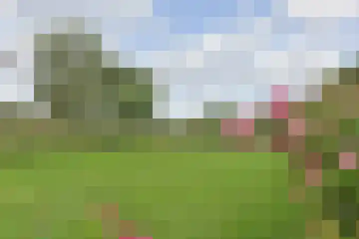 Nieuwveens Jaagpad 10 Nieuwveen thumbnail 11