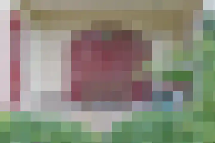 Nieuwveens Jaagpad 10 Nieuwveen thumbnail 12