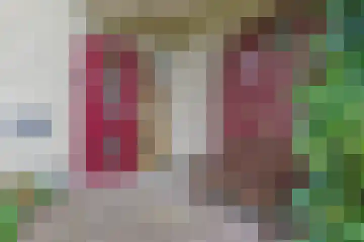 Nieuwveens Jaagpad 10 Nieuwveen thumbnail 13