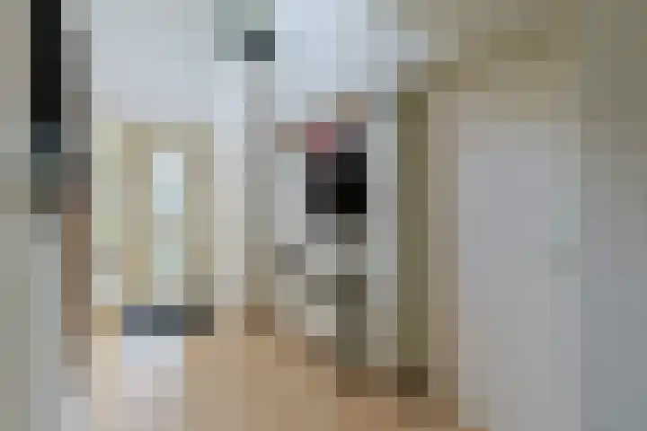 Nieuwveens Jaagpad 10 Nieuwveen thumbnail 16