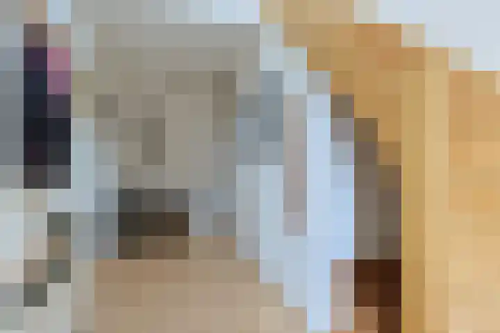 Nieuwveens Jaagpad 10 Nieuwveen thumbnail 17