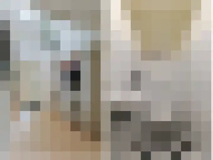 Nieuwveens Jaagpad 10 Nieuwveen thumbnail 18