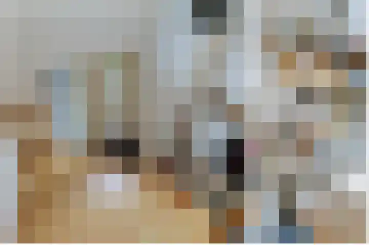 Nieuwveens Jaagpad 10 Nieuwveen thumbnail 33