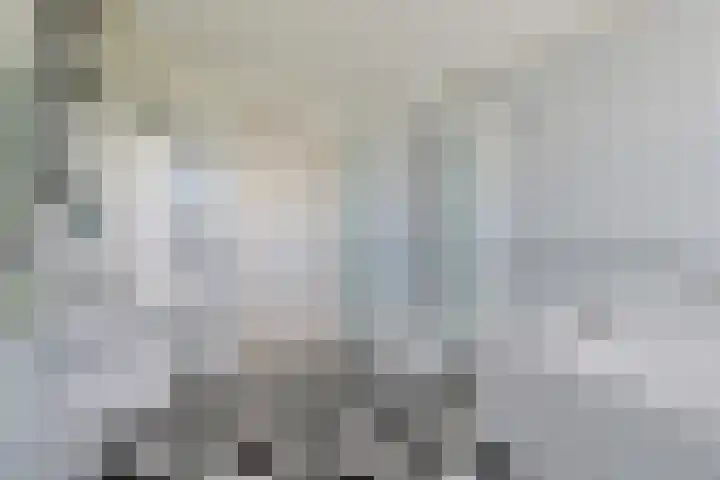 Nieuwveens Jaagpad 10 Nieuwveen thumbnail 45