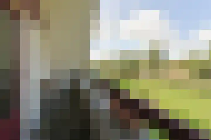 Nieuwveens Jaagpad 10 Nieuwveen thumbnail 47