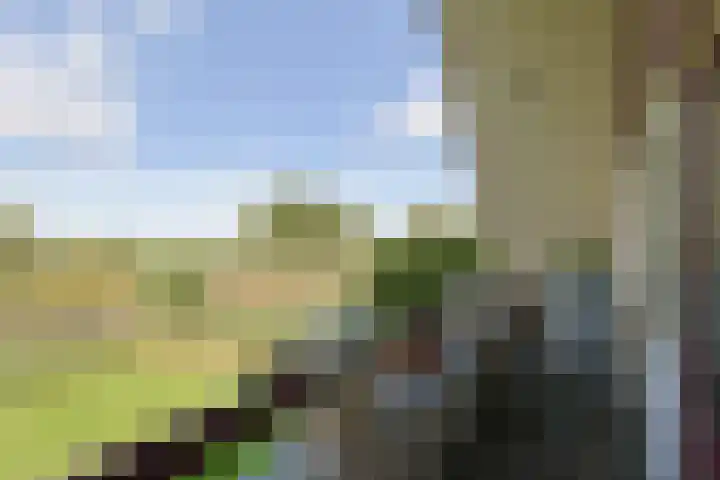 Nieuwveens Jaagpad 10 Nieuwveen thumbnail 48