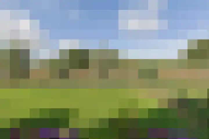 Nieuwveens Jaagpad 10 Nieuwveen thumbnail 49