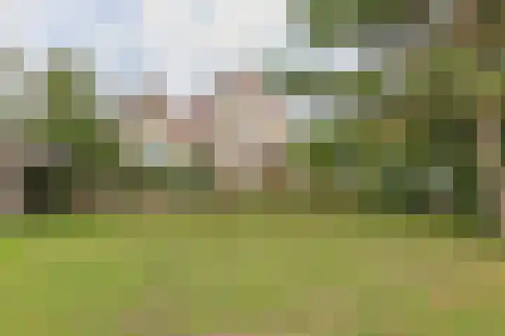 Nieuwveens Jaagpad 10 Nieuwveen thumbnail 52