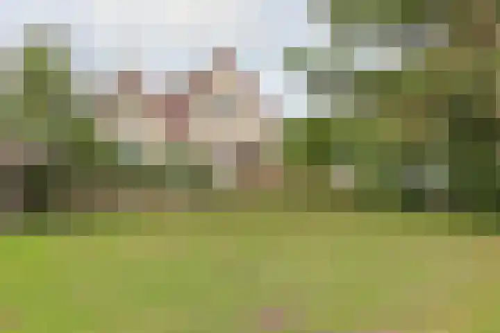 Nieuwveens Jaagpad 10 Nieuwveen thumbnail 53