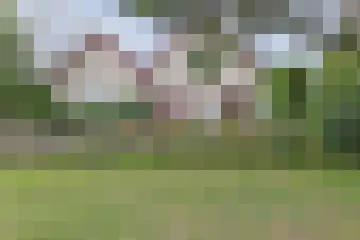 Nieuwveens Jaagpad 10 Nieuwveen thumbnail 54