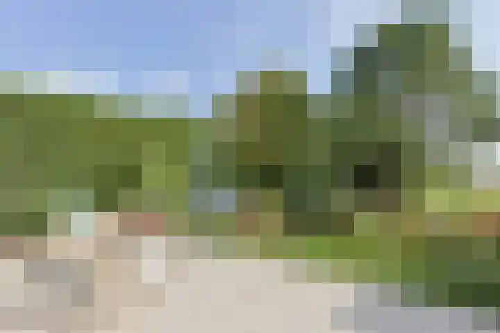 Nieuwveens Jaagpad 10 Nieuwveen thumbnail 56
