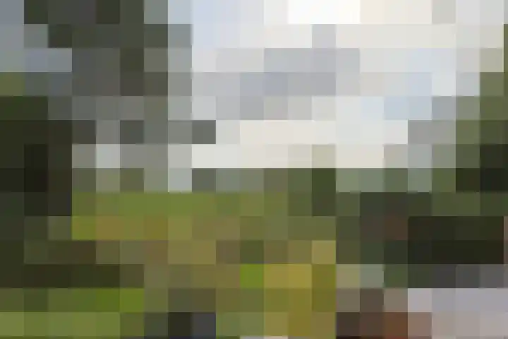 Nieuwveens Jaagpad 10 Nieuwveen thumbnail 57