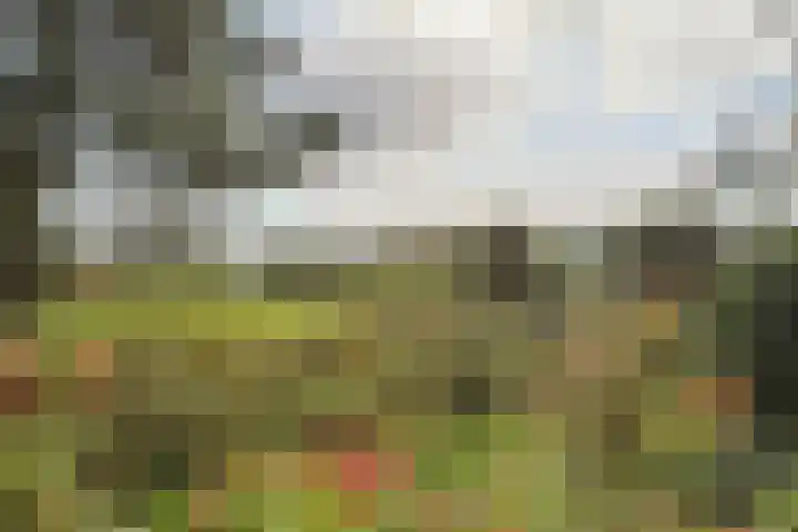 Nieuwveens Jaagpad 10 Nieuwveen thumbnail 58