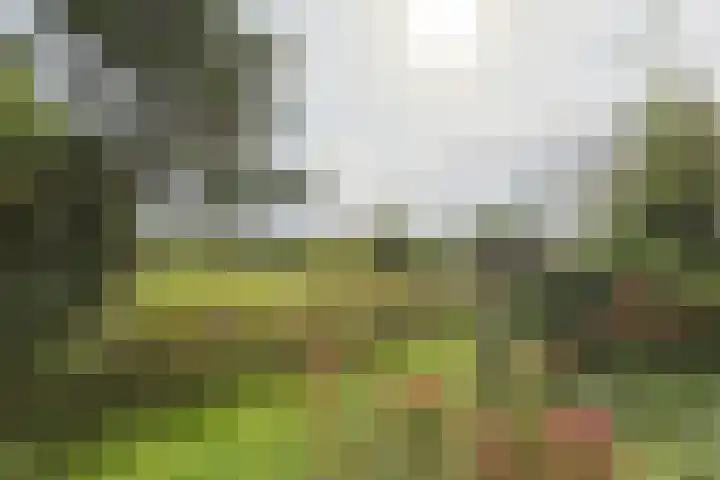 Nieuwveens Jaagpad 10 Nieuwveen thumbnail 59