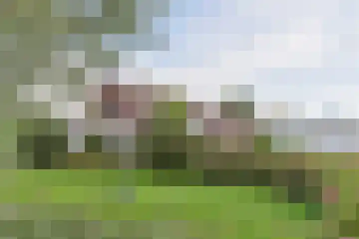Nieuwveens Jaagpad 10 Nieuwveen thumbnail 6