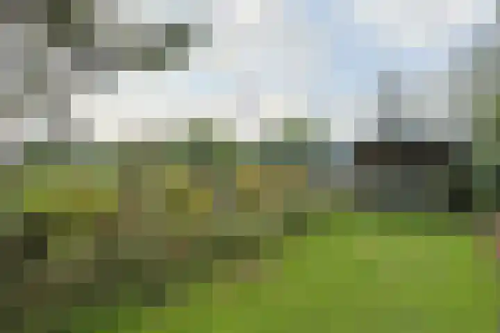 Nieuwveens Jaagpad 10 Nieuwveen thumbnail 60