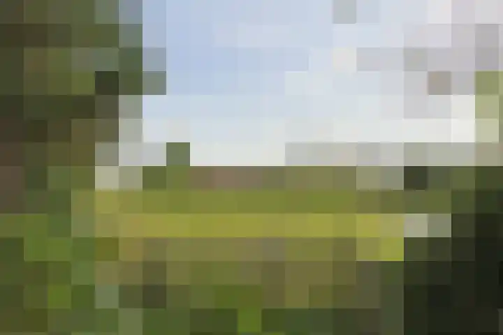 Nieuwveens Jaagpad 10 Nieuwveen thumbnail 61