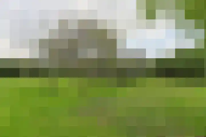 Nieuwveens Jaagpad 10 Nieuwveen thumbnail 65