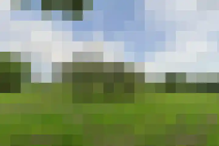 Nieuwveens Jaagpad 10 Nieuwveen thumbnail 66