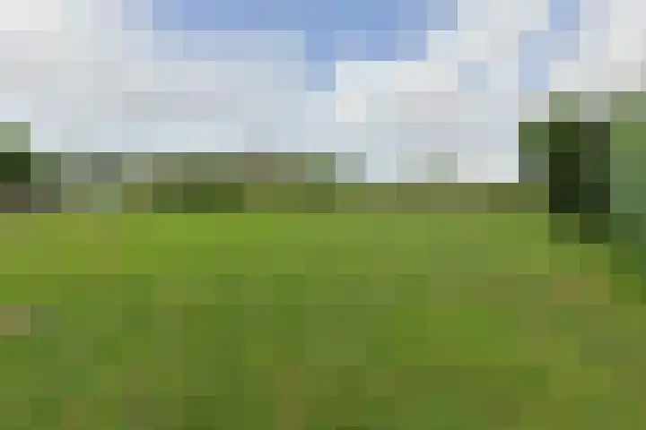 Nieuwveens Jaagpad 10 Nieuwveen thumbnail 67
