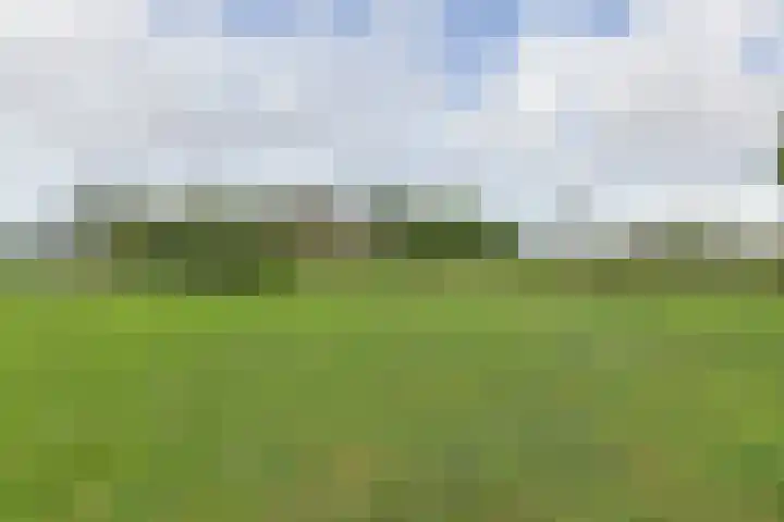 Nieuwveens Jaagpad 10 Nieuwveen thumbnail 68