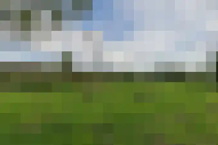 Nieuwveens Jaagpad 10 Nieuwveen thumbnail 69